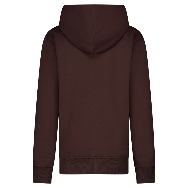 CARS Jeans Tylo kids sweatshirts donker bruin