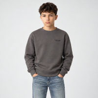 CARS Jeans Isaac kids sweatshirts antraciet