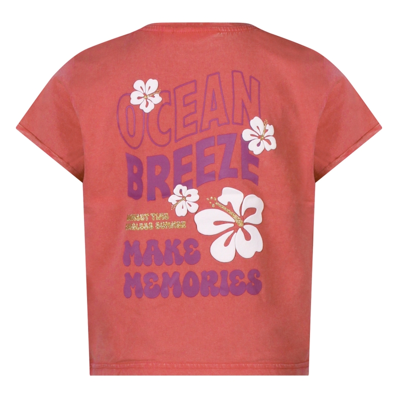 D-zine Marte Z10316 t-shirts korte mouw Mauve