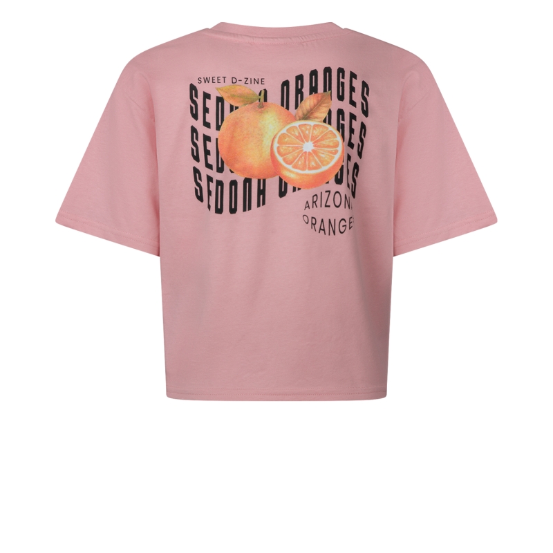 D-zine Abina Z10196 t-shirts korte mouw Rose
