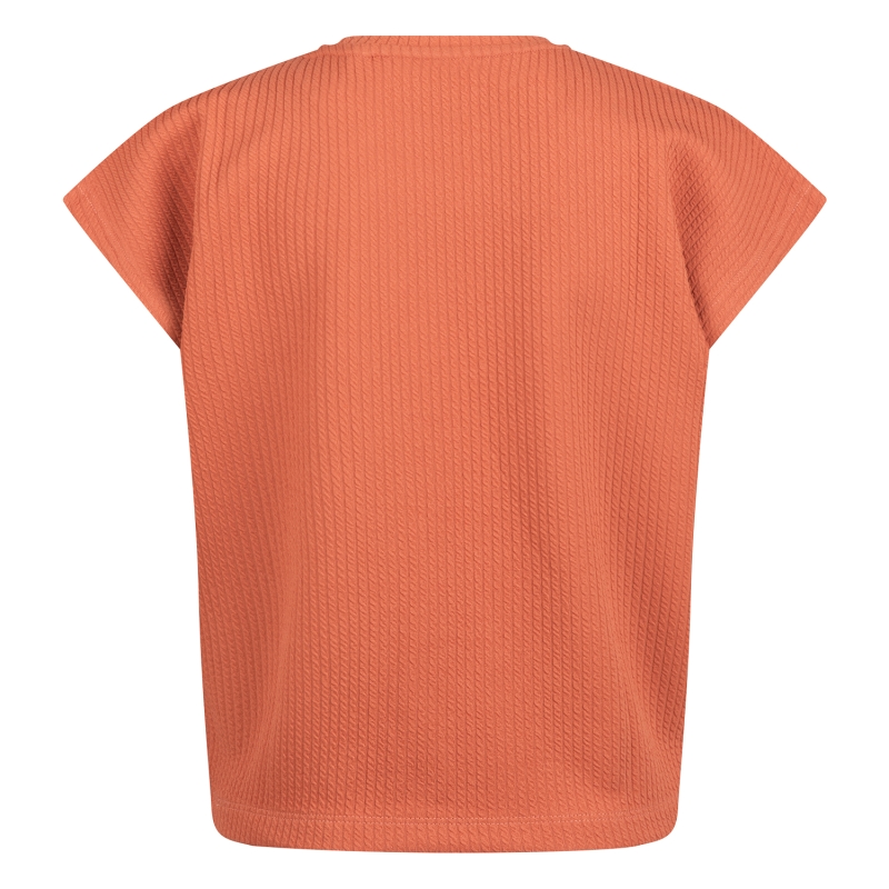 D-zine Agnetha Z10180 t-shirts korte mouw Roest