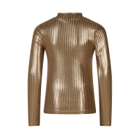 D-zine Tooske W10112 t-shirt lange mouw Brons