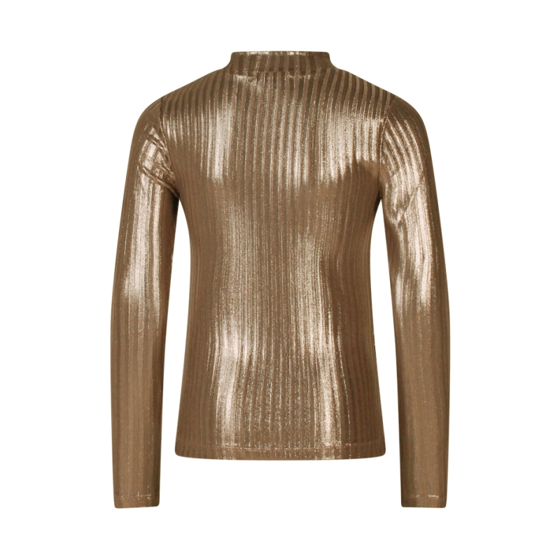 D-zine Tooske W10112 t-shirt lange mouw Brons