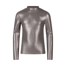 D-zine Tooske W10112 meisjes t-shirts lange mouw Grijs zilver