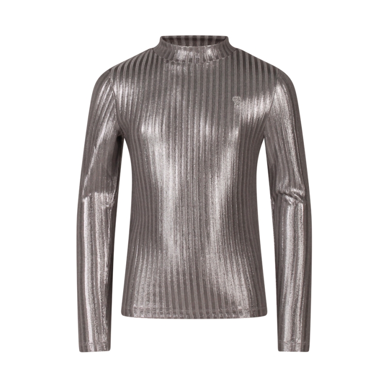 D-zine Tooske W10112 t-shirt lange mouw Grijs zilver