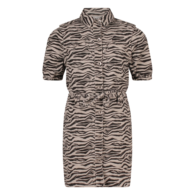 D-zine Ashelie aop Z10069 jurken Kit