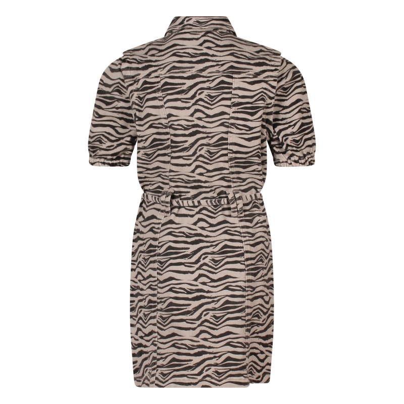 D-zine Ashelie aop Z10069 jurken Kit