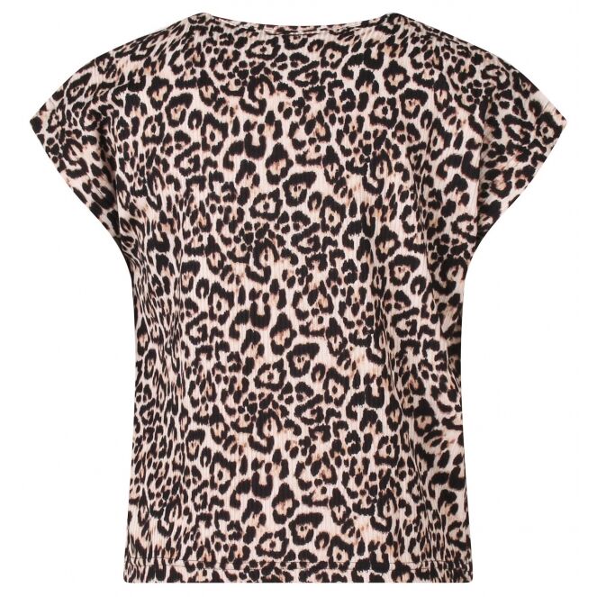 D-zine D-zine Stella aop Z10315 Beige panter kit D-zine Stella aop Z10315 Meisjes T-shirt korte mouw Beige bestel je online bij www.bertusmode.nl/