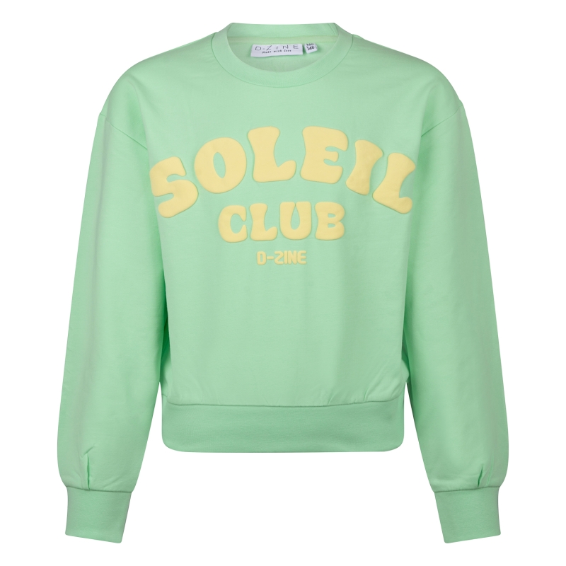 D-zine Anneleen Z10422 sweatshirts Groen licht
