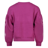 D-zine Babse W20238 sweatshirts Cyclaam