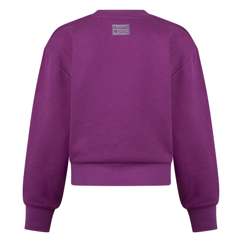 D-zine Bardot W20128 sweatshirts Cyclaam