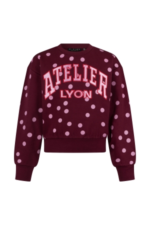 Bordeaux rood 