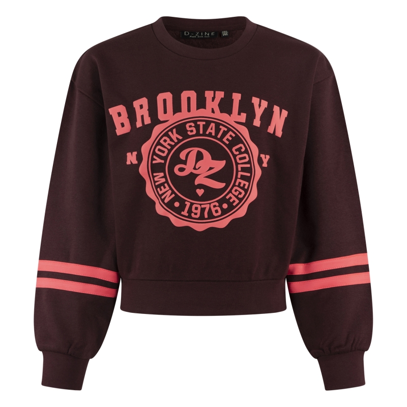 D-zine Belinay W20127 sweatshirts Wijnrood