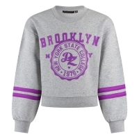 D-zine Belinay W20127 sweatshirts Grey melee