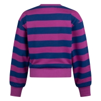 D-zine Bridget W20087 sweatshirts Cyclaam