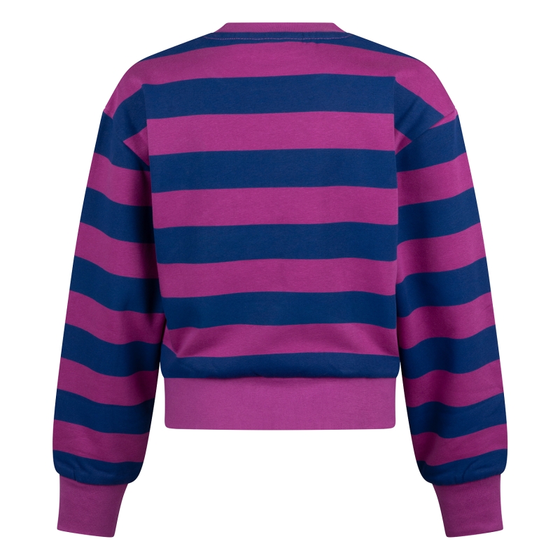 D-zine Bridget W20087 sweatshirts Cyclaam