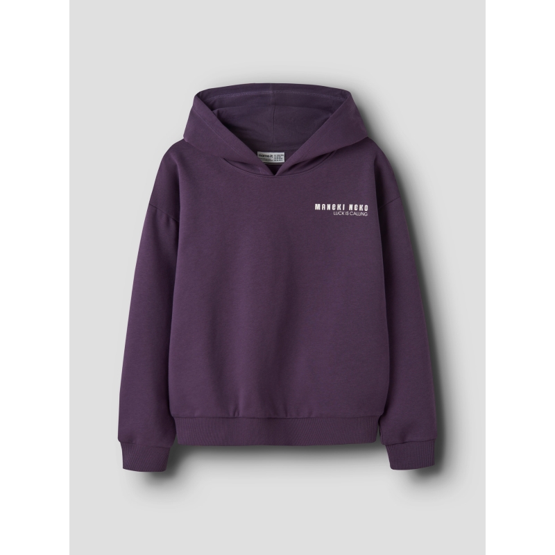 Name It NKFODA LS RLX SWE BRU WH BF sweatshirts Purple