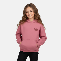 CARS Jeans Vale kids sweatshirts oud rose
