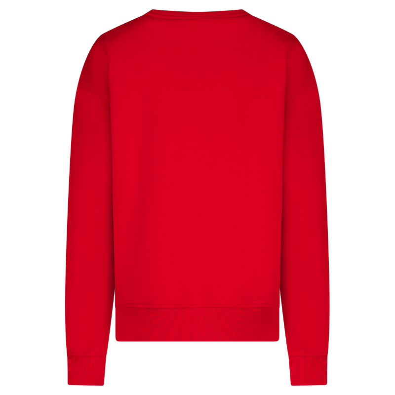 CARS jeans & casuals Anna kids sweatshirts Rood