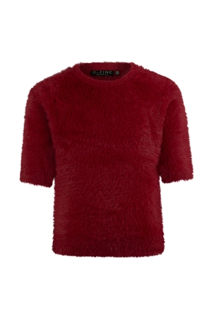 Bordeaux rood 