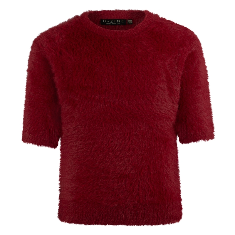D-zine Britney W20121 pullovers Rood wijn