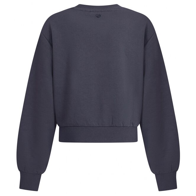 D-zine D-zine Tekla W10128 Grijs odysey grey D-zine Tekla W10128 Meisjes sweatshirt Grijs bestel je online bij www.bertusmode.nl/