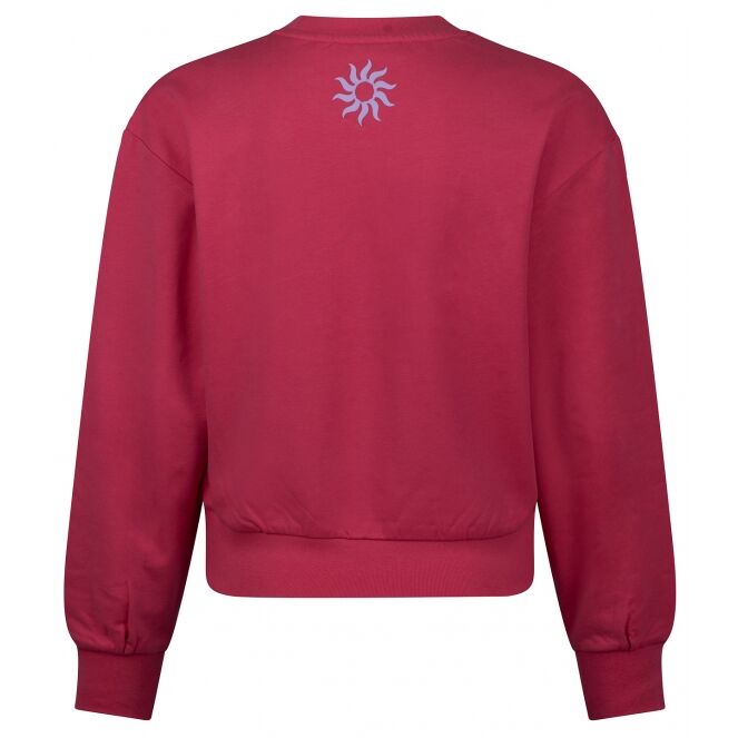 D-zine D-zine Anneleen Z10422 Roze sunny red D-zine Anneleen Z10422 Meisjes sweatshirt Roze bestel je online bij www.bertusmode.nl/