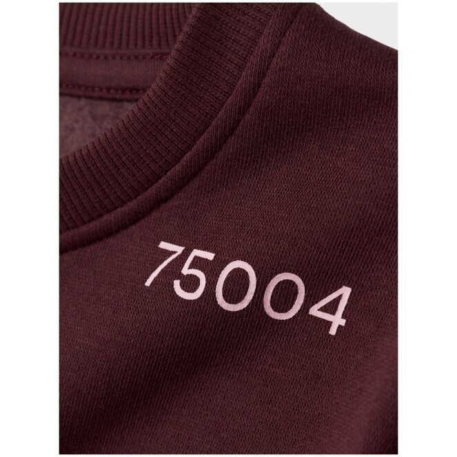 name it name it NKFODIKA LS RLX SWEAT BRU BF Paars Sassafras name it NKFODIKA LS RLX SWEAT BRU BF Meisjes sweatshirt Paars bestel je online bij www.bertusmode.nl/