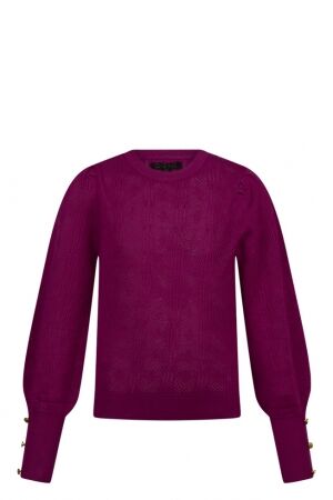 D-zine D-zine Riley W90111 Paars berry