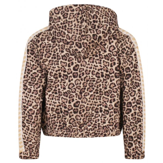 Persival Persival 3110404 W10040 Beige 20.KIT.W25 Persival 3110404 W10040 Meisjes vest Beige bestel je online bij www.bertusmode.nl/