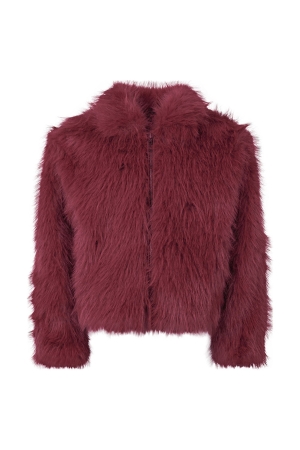 Bordeaux rood 