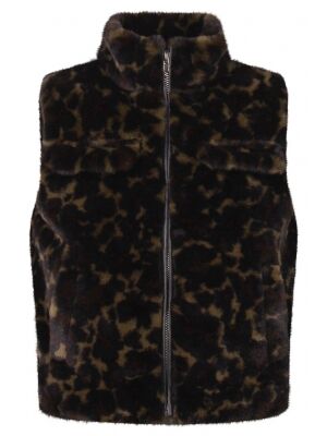 D-zine D-zine GJ-66188 W10338 Bruin