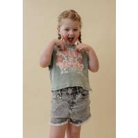 D-zine Anne Z10206 bermudas Denim grey