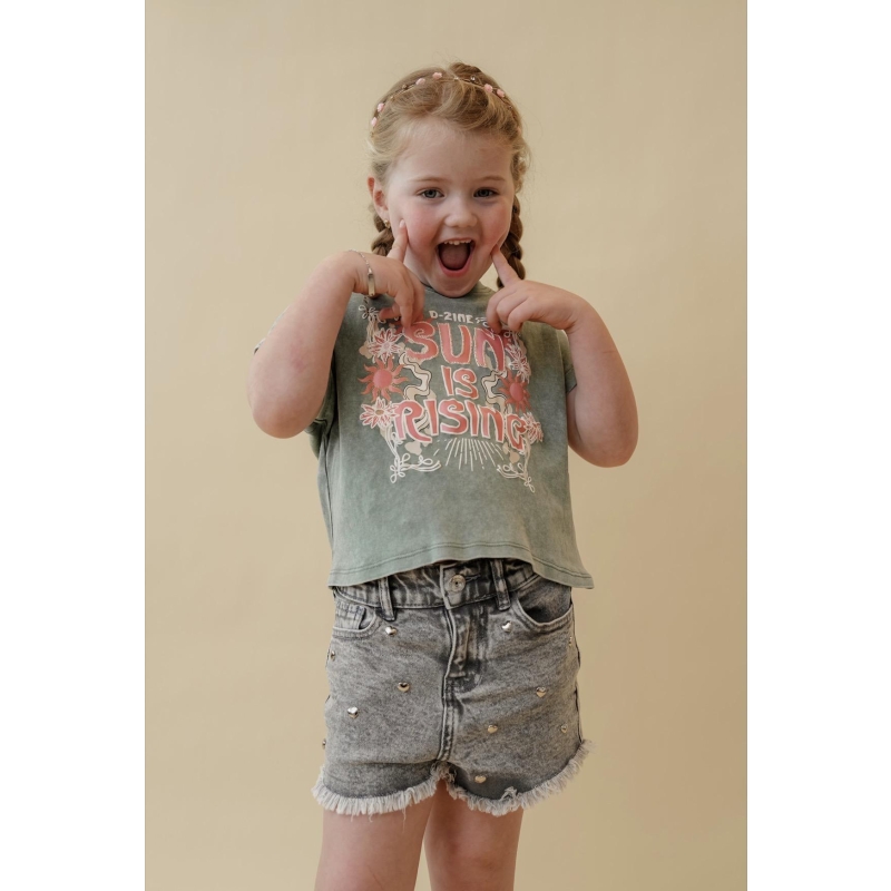 D-zine Anne Z10206 bermudas Denim grey