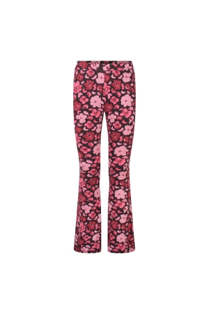 Bordeaux rood 