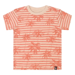 flinq Wallace Z10408 baby jongens T-shirt km Kit