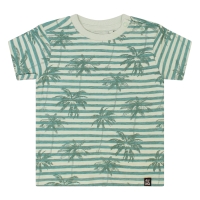 flinq Wallace Z10408 t-shirts korte mouw Groen licht