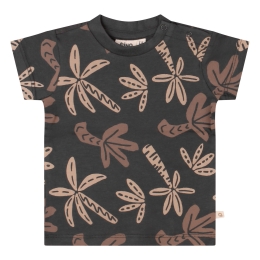 flinq newborn 3212602 Z10134 baby jongens T-shirt km Antra