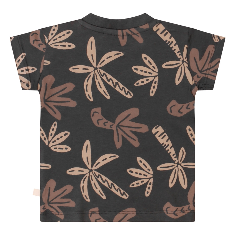 flinq newborn 3212602 Z10134 t-shirts korte mouw Antra