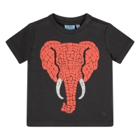 flinq 3211600 Z10279 t-shirts korte mouw Antra