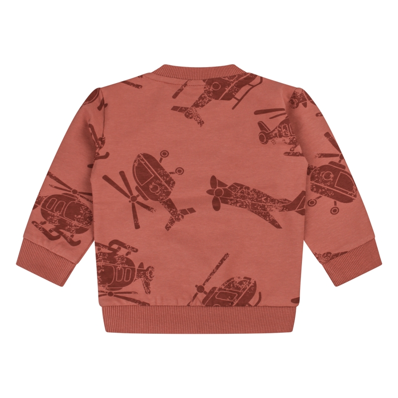 flinq 3311602 W20363 t-shirts lange mouw Roest