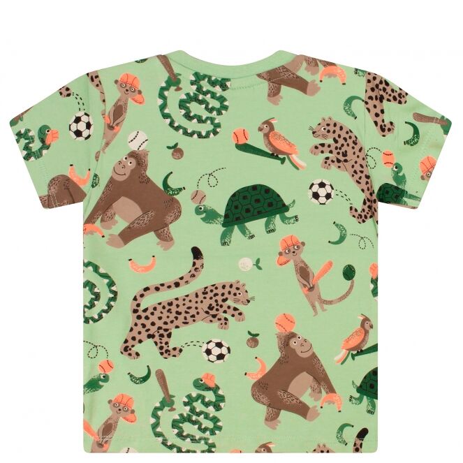 flinq flinq 3211603 Z10282 Groen 65.MATCHA.S26 flinq 3211603 Z10282 Baby jongens T-shirt km Groen bestel je online bij www.bertusmode.nl/