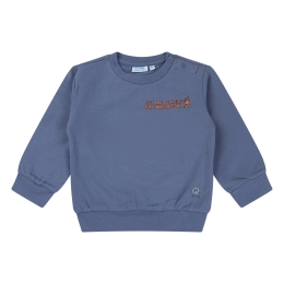 flinq 3111402 W10295 baby jongens Baby jongens sweater Raf