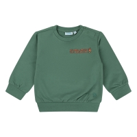 flinq 3111402 W10295 sweaters Groen