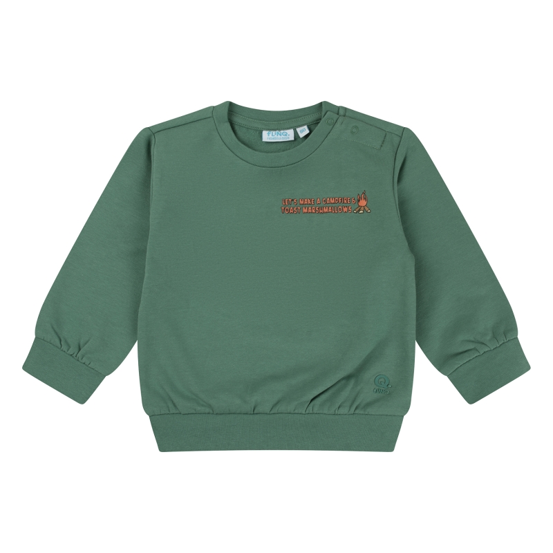 flinq 3111402 W10295 sweaters Groen