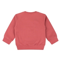 flinq 3111403 W10303 sweaters Rood licht