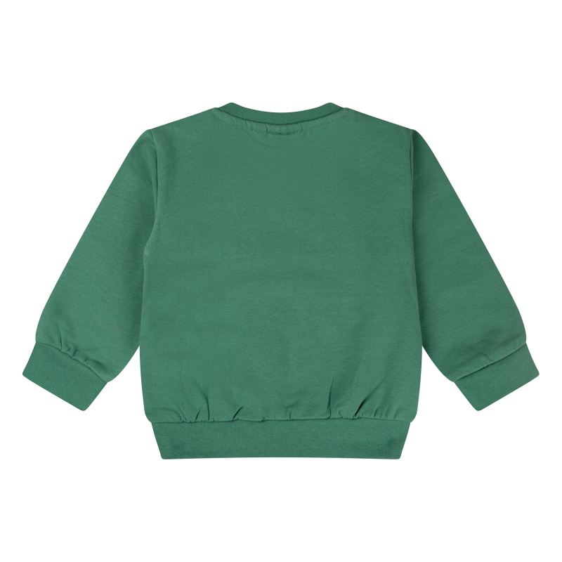 flinq 3111403 W10303 sweaters Groen