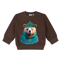 flinq 3111403 W10303 sweaters Bruin donker