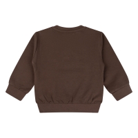 flinq 3111403 W10303 sweaters Bruin donker