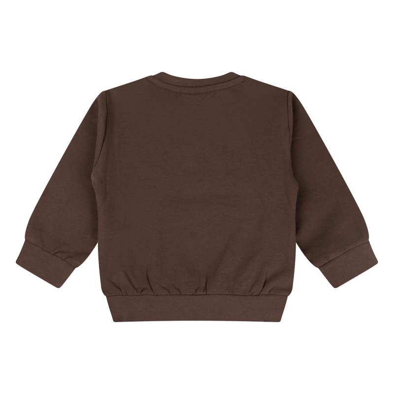 flinq 3111403 W10303 sweaters Bruin donker